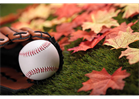 **WHABA FALL BASEBALL PROGRAM ANNOUNCEMENT**